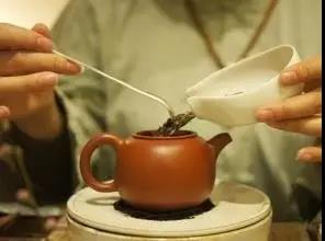 普洱茶