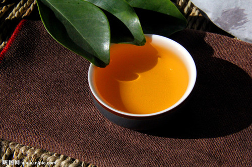 普洱茶