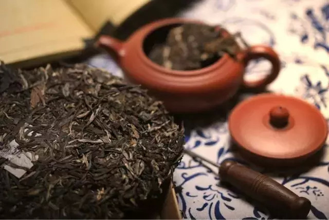 普洱茶
