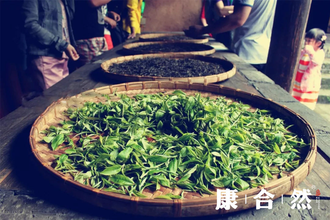 康合然普洱茶